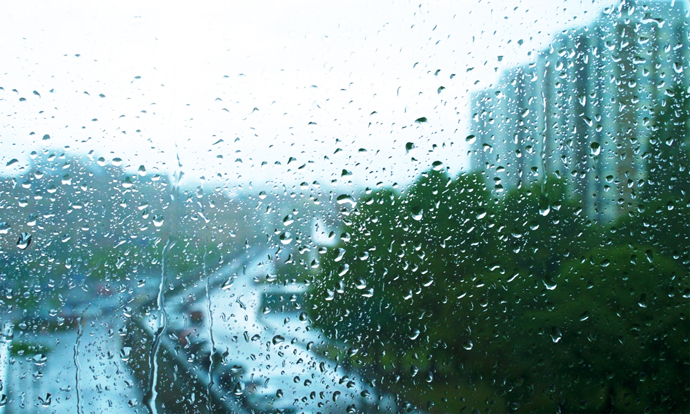 Weather forecast for nighttime 11th June and full day of 12th June, 2025
